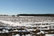Schneeschmelze auf den Feldern am 05.02.2011