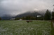 Neuschnee am bayerischen Alpenrand am Morgen des 09.10.2011