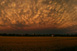Mammatuswolken-Panorama Bild 7 - Copyright Janina Kufner
