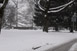 Winterstimmung und Schnee am 26.01.2011