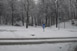Schnee am Mnchner Westpark am 26.01.2011